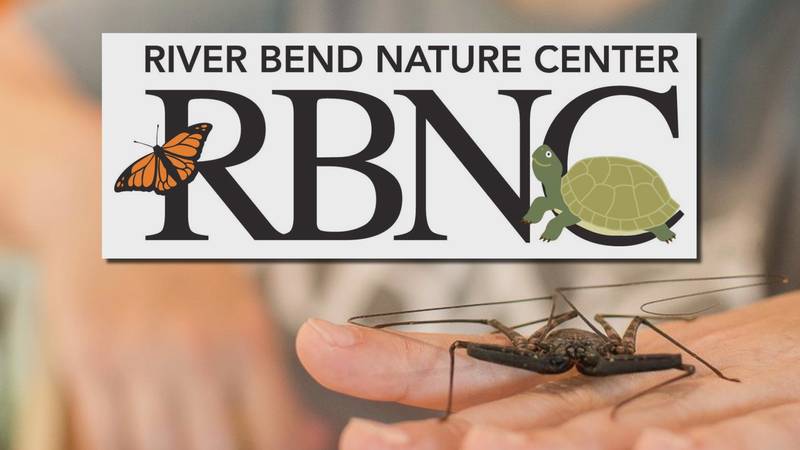 There will be the Nature Tot’s event as well as Science Saturday Both of these plant-filled...