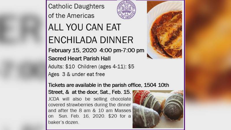 The Catholic Daughters of the Americas, Court No. 309, will be serving their annual Enchilada...