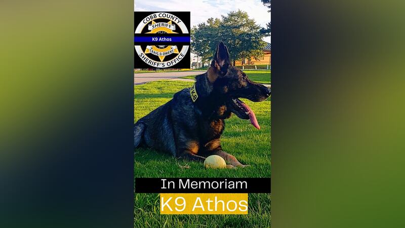 A police dog named Athos has died after complications with cancer.