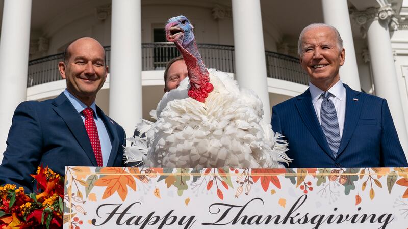 President Joe Biden stands next to Liberty, one of the two national Thanksgiving turkeys,...