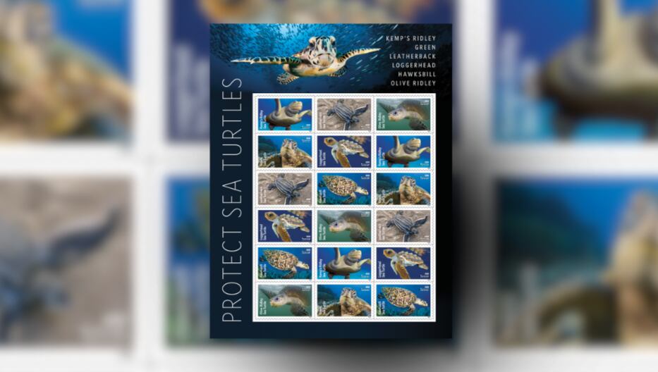 USPS launches Protect Sea Turtles stamps in Texas - Vimarsana News
