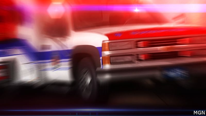 FILE - A man's arm was severed by his dog in Ohio.