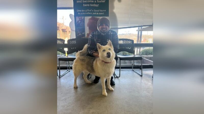 Cincinnati Animal CARE helped reunite 4-year-old Sophie with her owner.
