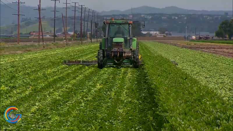 farming