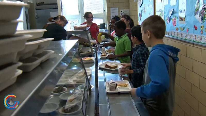 school lunches