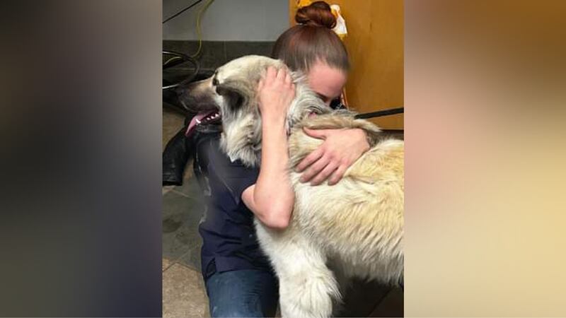 An animal shelter says the community has come together to help find an abandoned dog's owner.